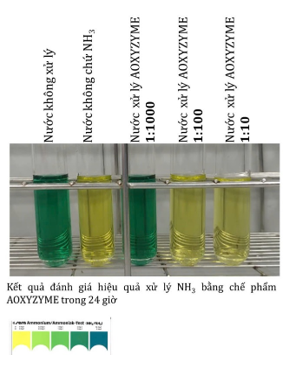 Aoxyzyme