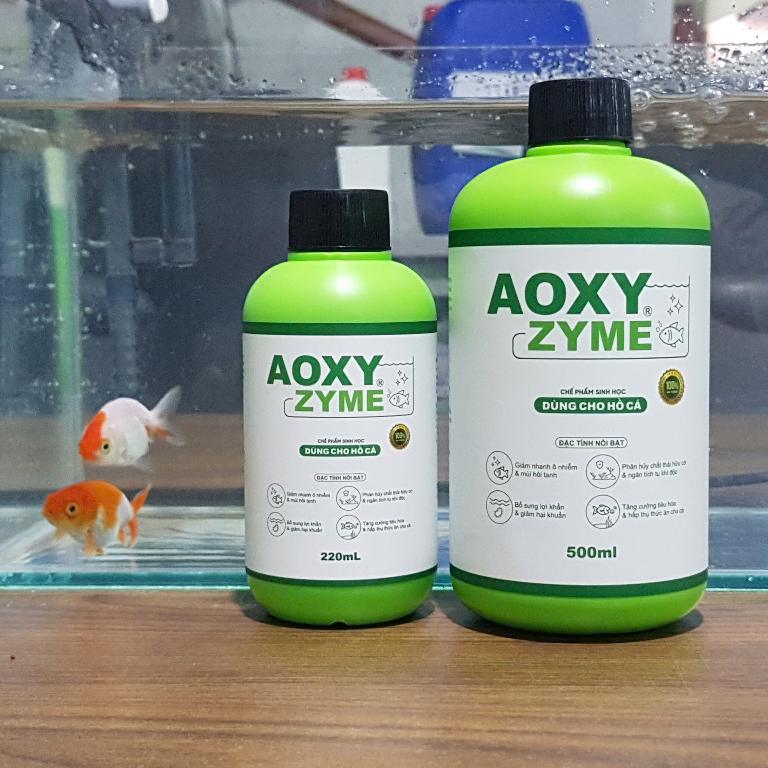 vi sinh aoxyzyme làm trong nước